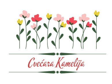 Kamelija Cveće i Dekoracije